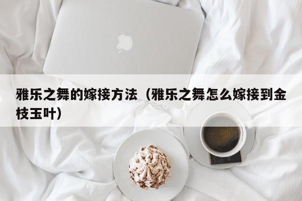 雅乐之舞的嫁接方法（雅乐之舞怎么嫁接到金枝玉叶） 